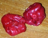 Trinidad Scorpion pepper